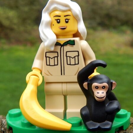 LEGO Zookeeper with Rare Chimpanzee