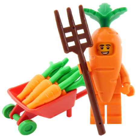LEGO 'Carl the Carrot' Bundle