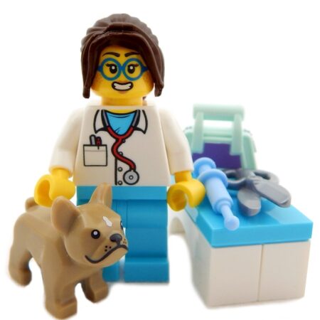LEGO Veterinarian with French Bulldog