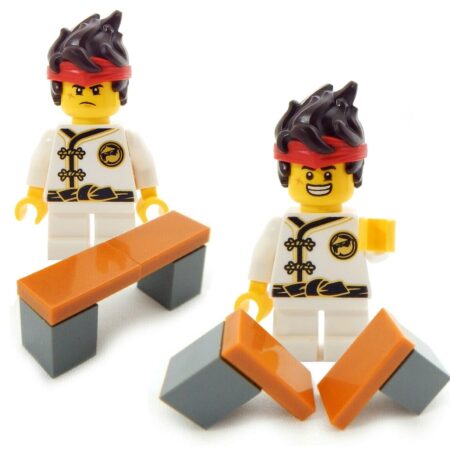 LEGO Karate Boy Set