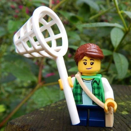 LEGO Debbie Fletcher: Butterfly Catcher