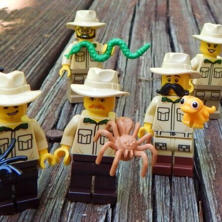 Mystery LEGO Zookeeper with animal