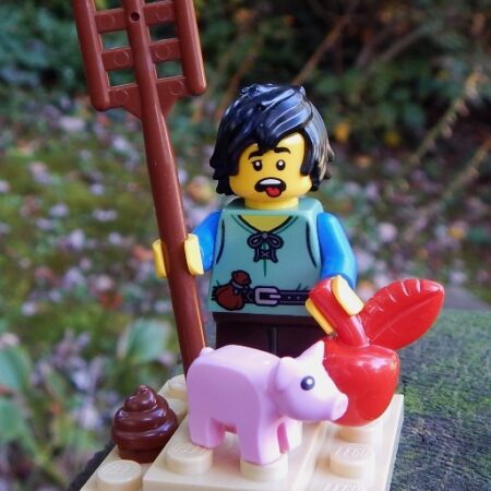 LEGO Peasant Boy with his constant chore