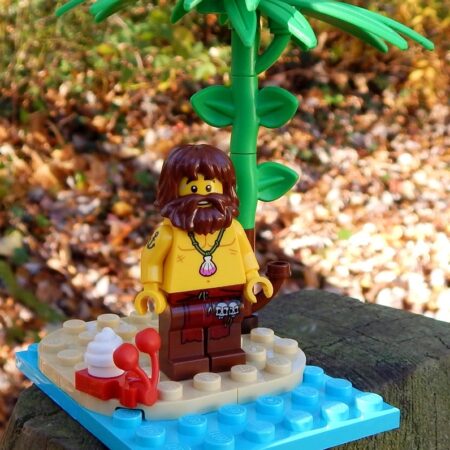 LEGO Castaway on a Desert Island with pet hermit crab