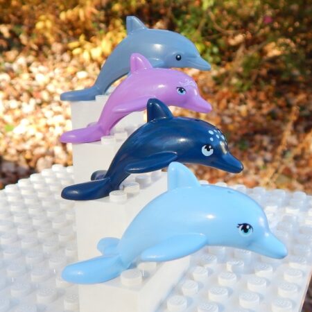 Mystery LEGO Adult Dolphin