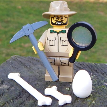 LEGO Paleontologist with tools and fossils bundle