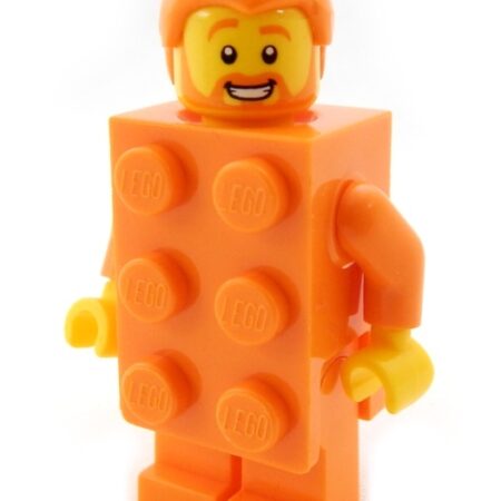 LEGO Mason Brick