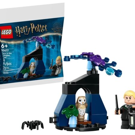 LEGO Draco in the Forbidden Forest Polybag