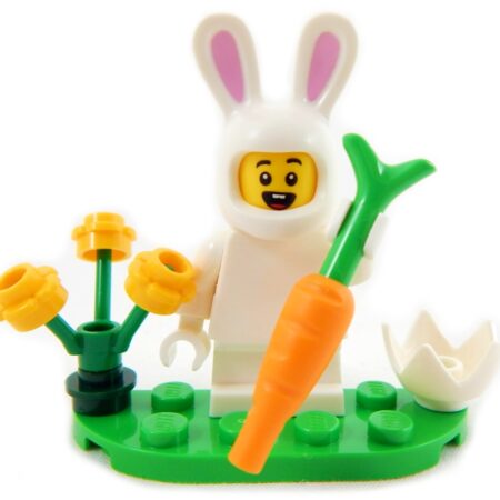 Easter Bunny Boy (everything in photo)