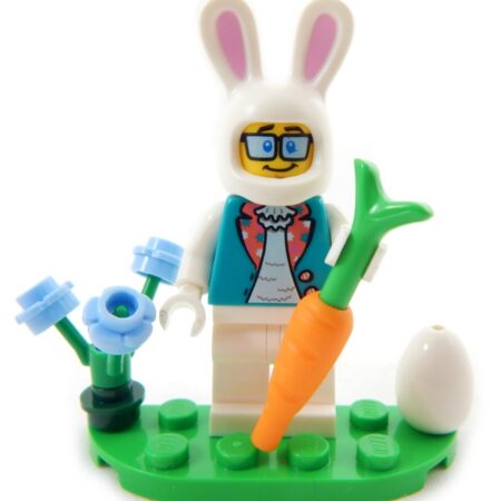 Easter Bunny Dad (everything in photo)