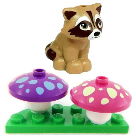 Raccoon and Mushrooms