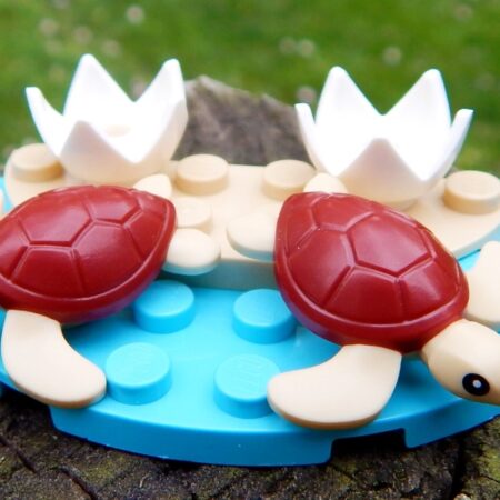 2 Additional Sea Turtle Hatchlings