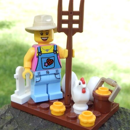 LEGO Sally Sue the Chicken Farmer