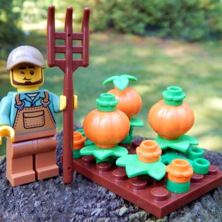 LEGO the Pumpkin Farmer Bundle