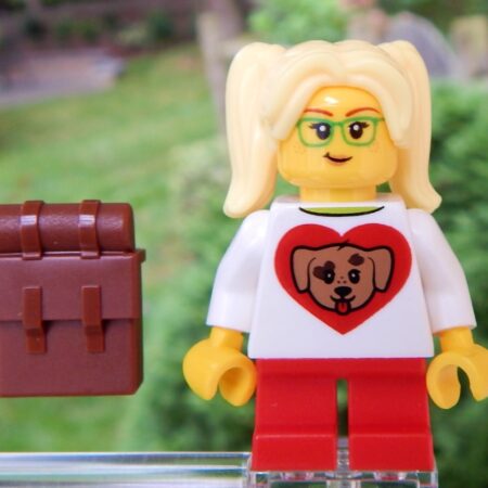 LEGO Student "Sandy Blockstein"