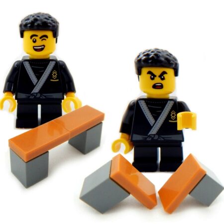 LEGO Karate Champ