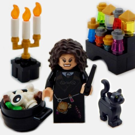 LEGO Witch Bundle