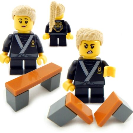 LEGO Karate Champ