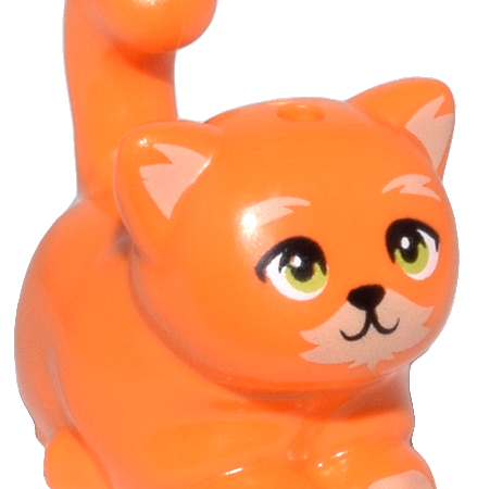 Orange Fat Cat