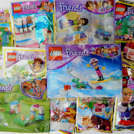 Mystery LEGO Friends Polybag