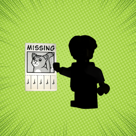 Mystery LEGO Boy with Missing Cat Flyer