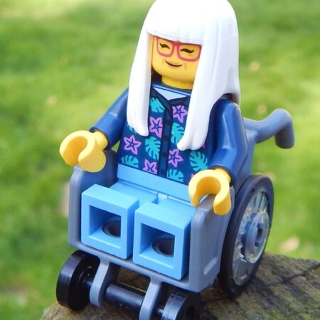 LEGO Granny in a Wheelchair