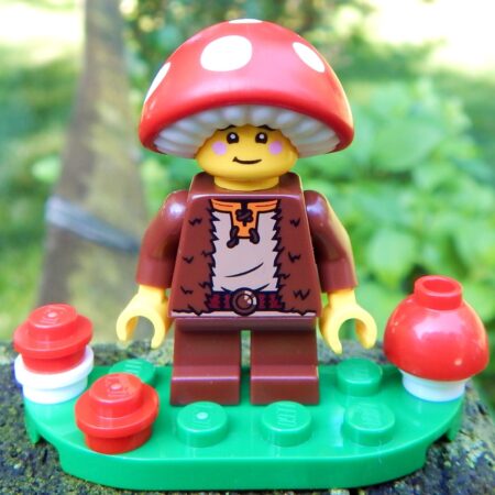 LEGO Mushroom Boy