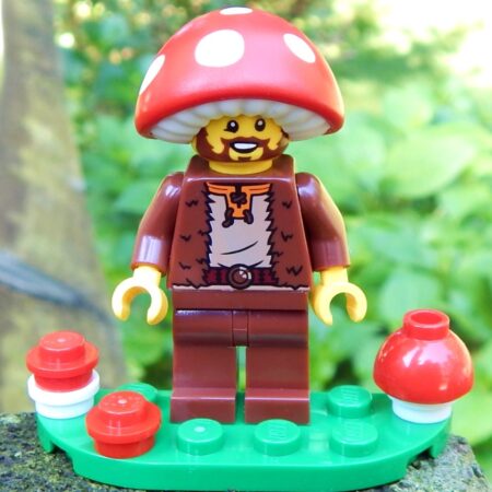 LEGO Mushroom Daddy